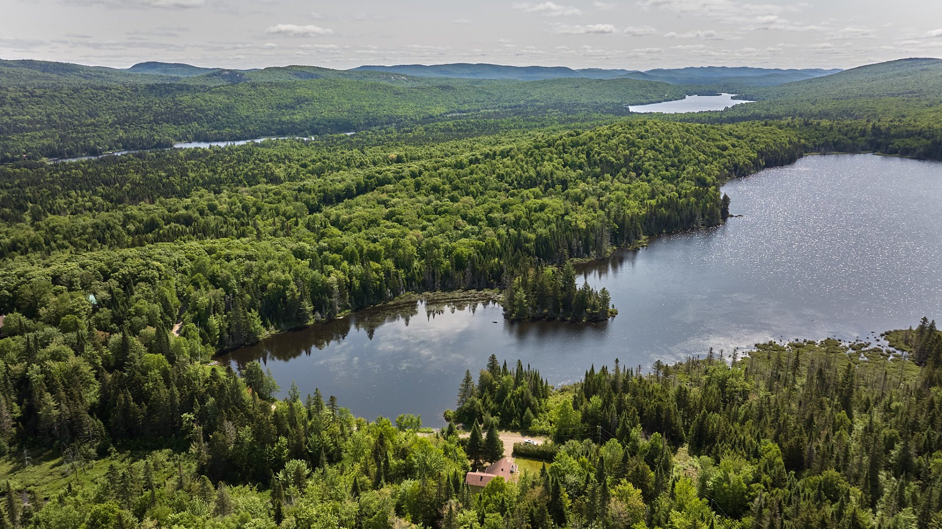 Photo - Aerial photo