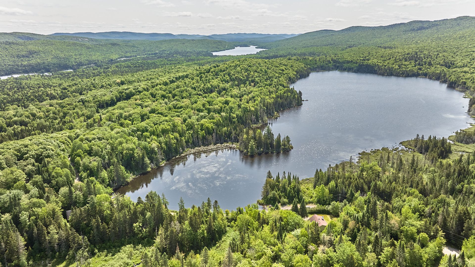 Photo - Aerial photo