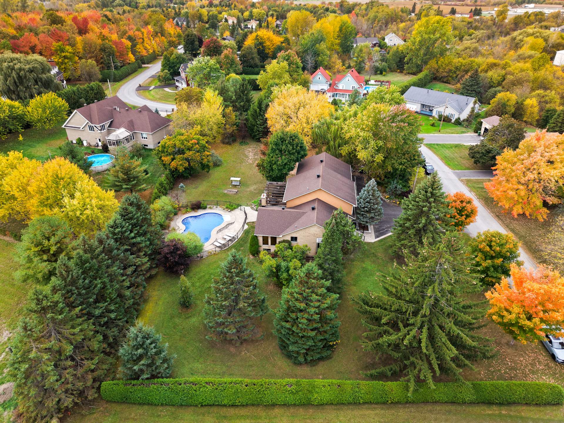 Photo - Aerial photo