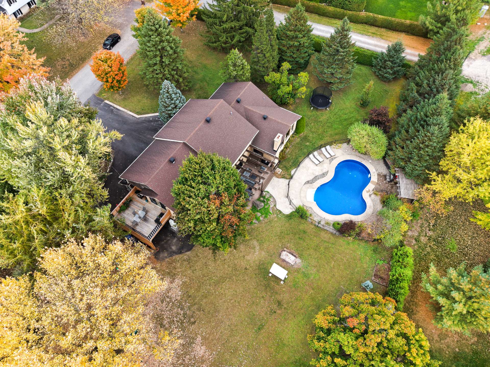 Photo - Aerial photo