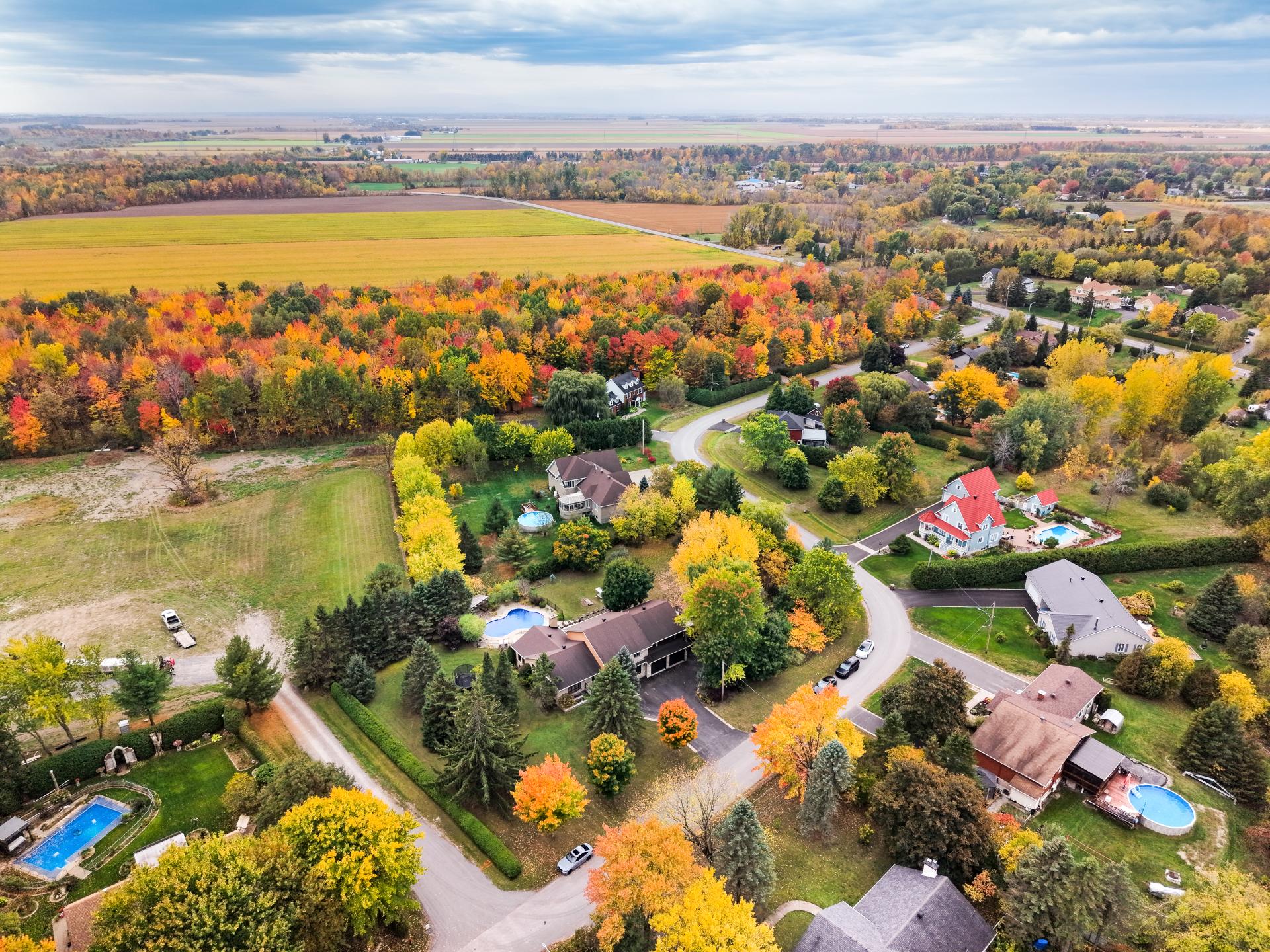 Photo - Aerial photo