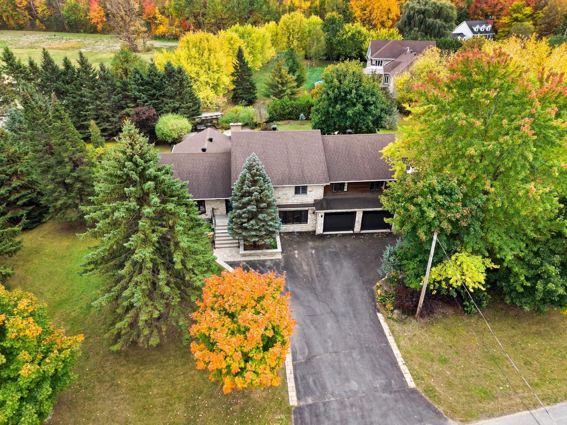 Photo - Aerial photo