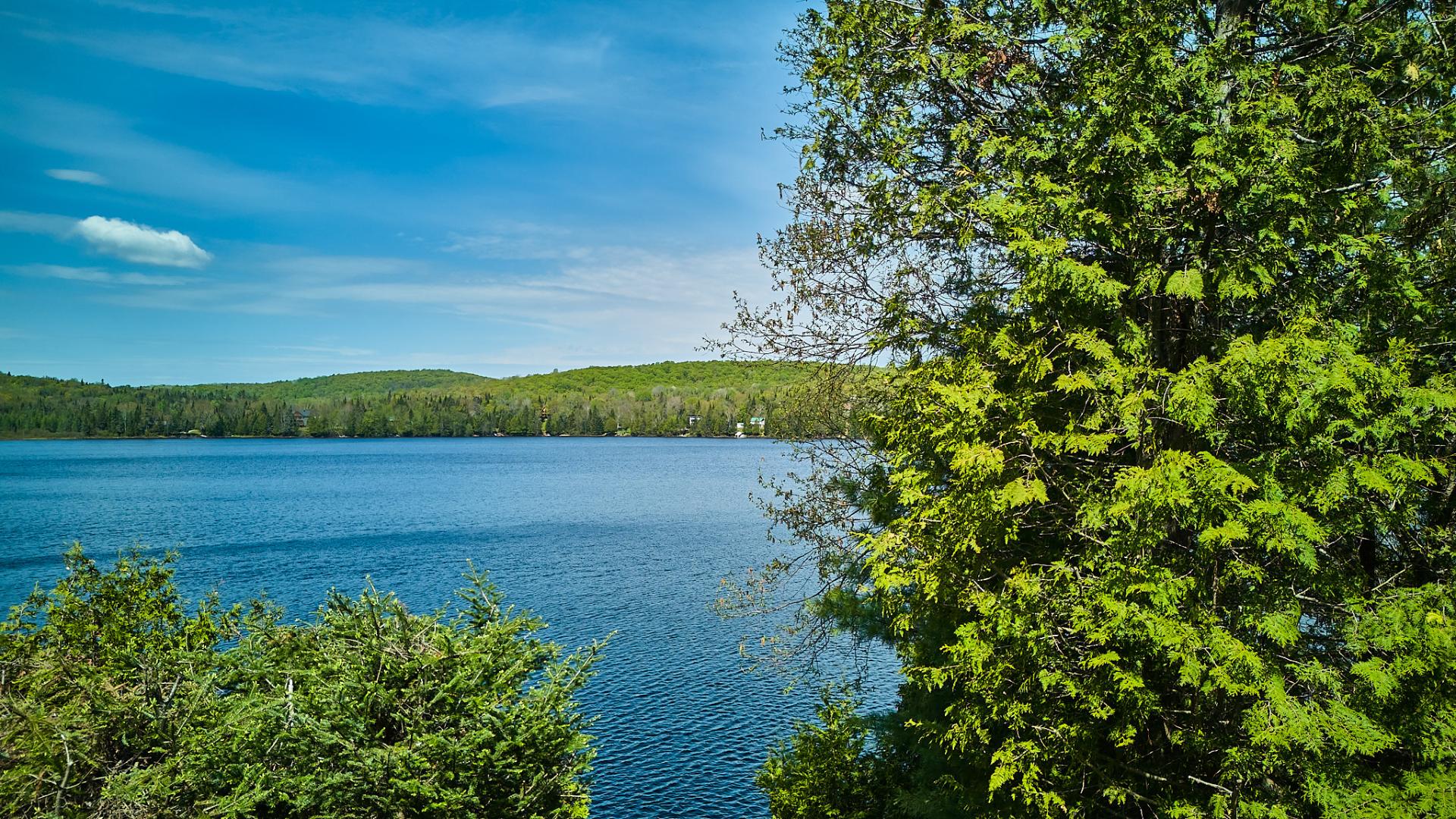 Photo - Vue sur l'eau