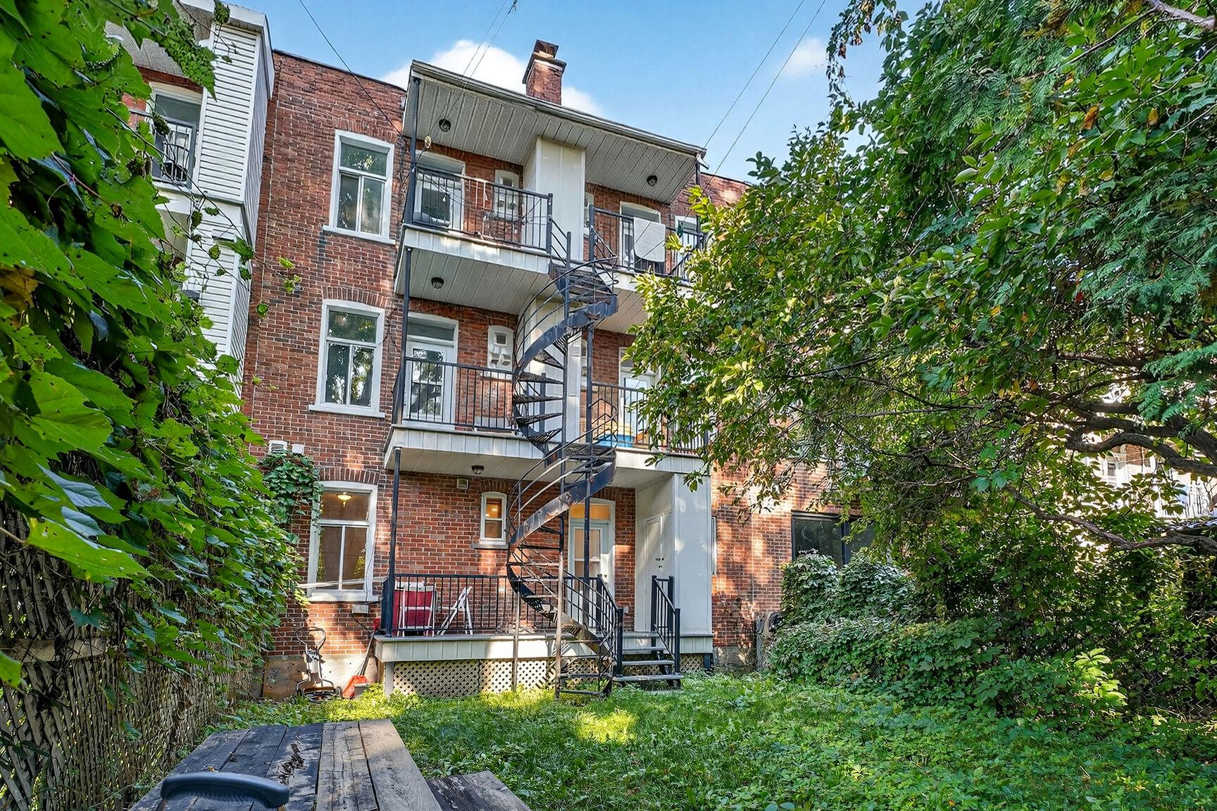 Photo - Face arrière