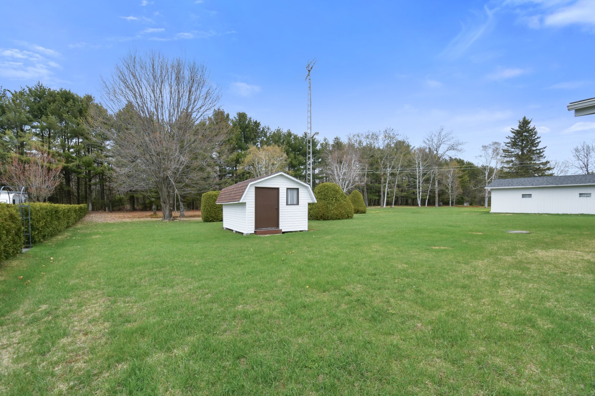 Photo - Backyard