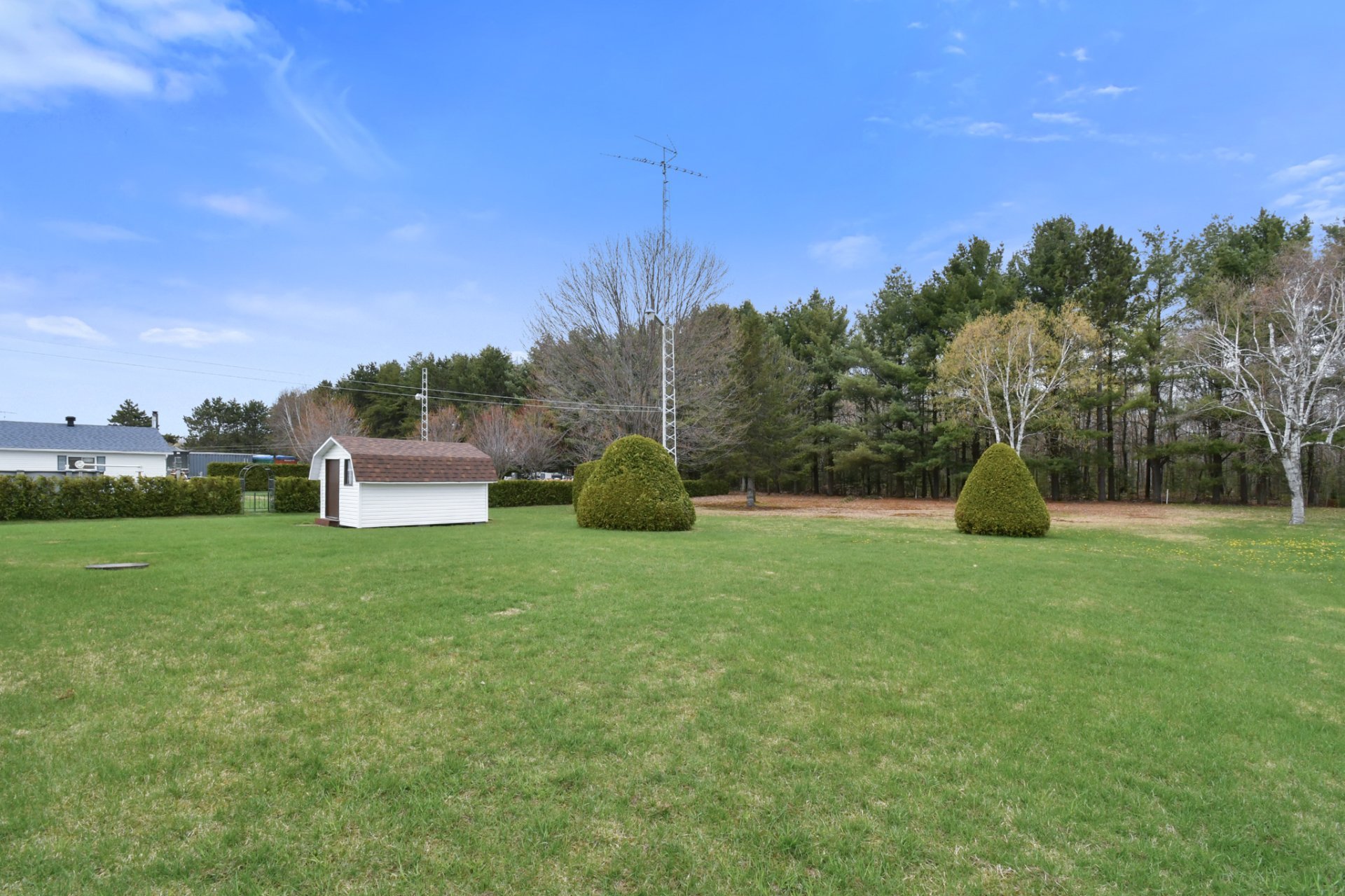 Photo - Backyard