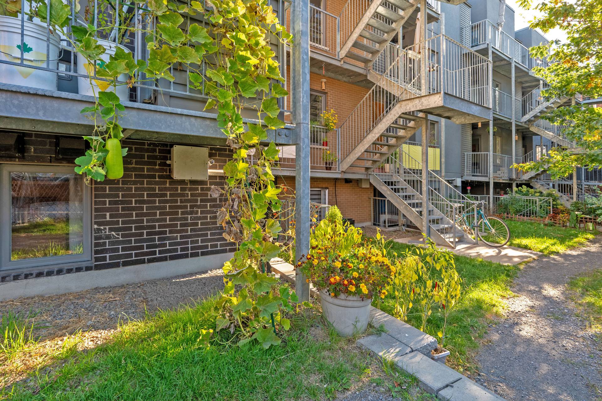 Photo - Face arrière