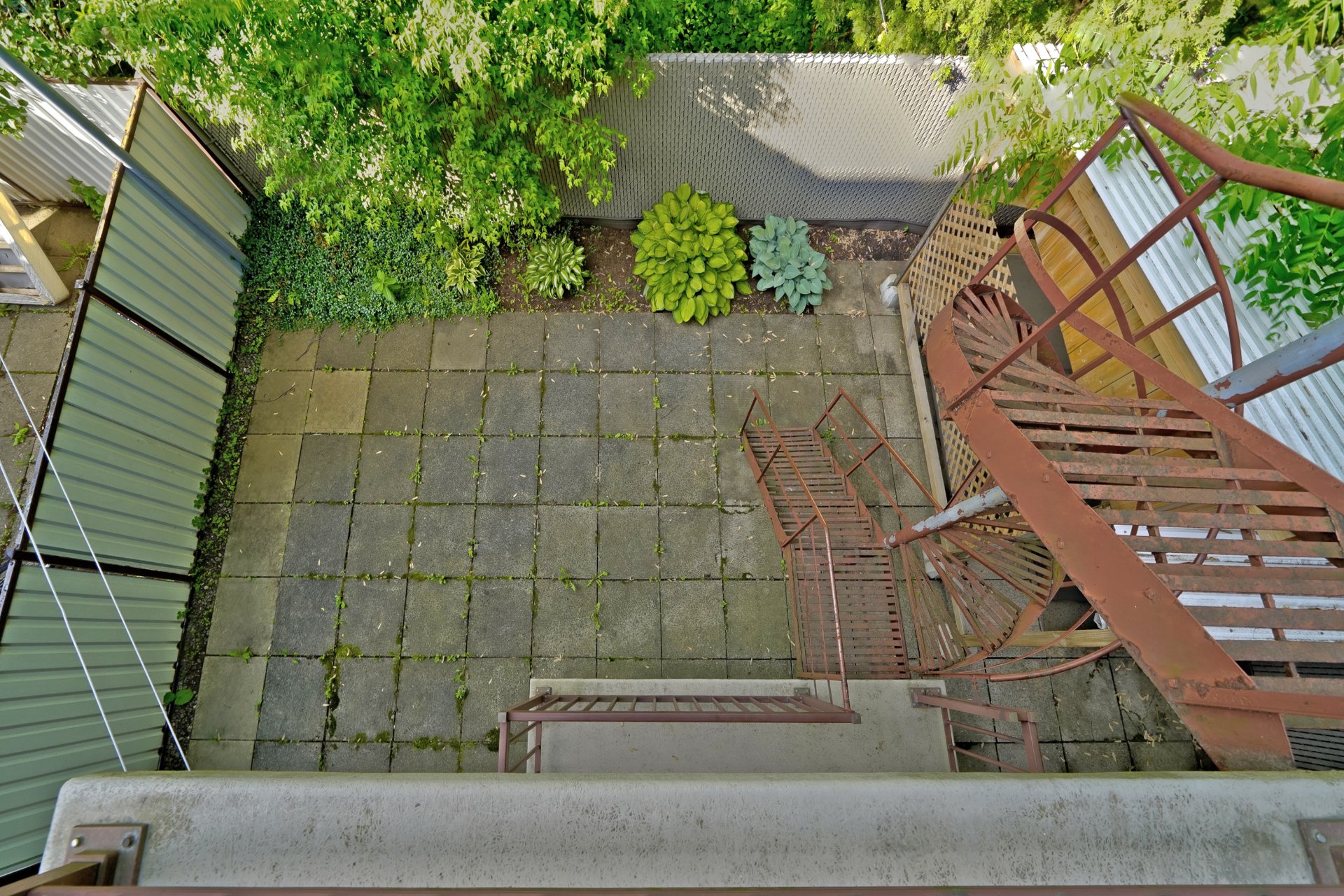 Photo - Backyard