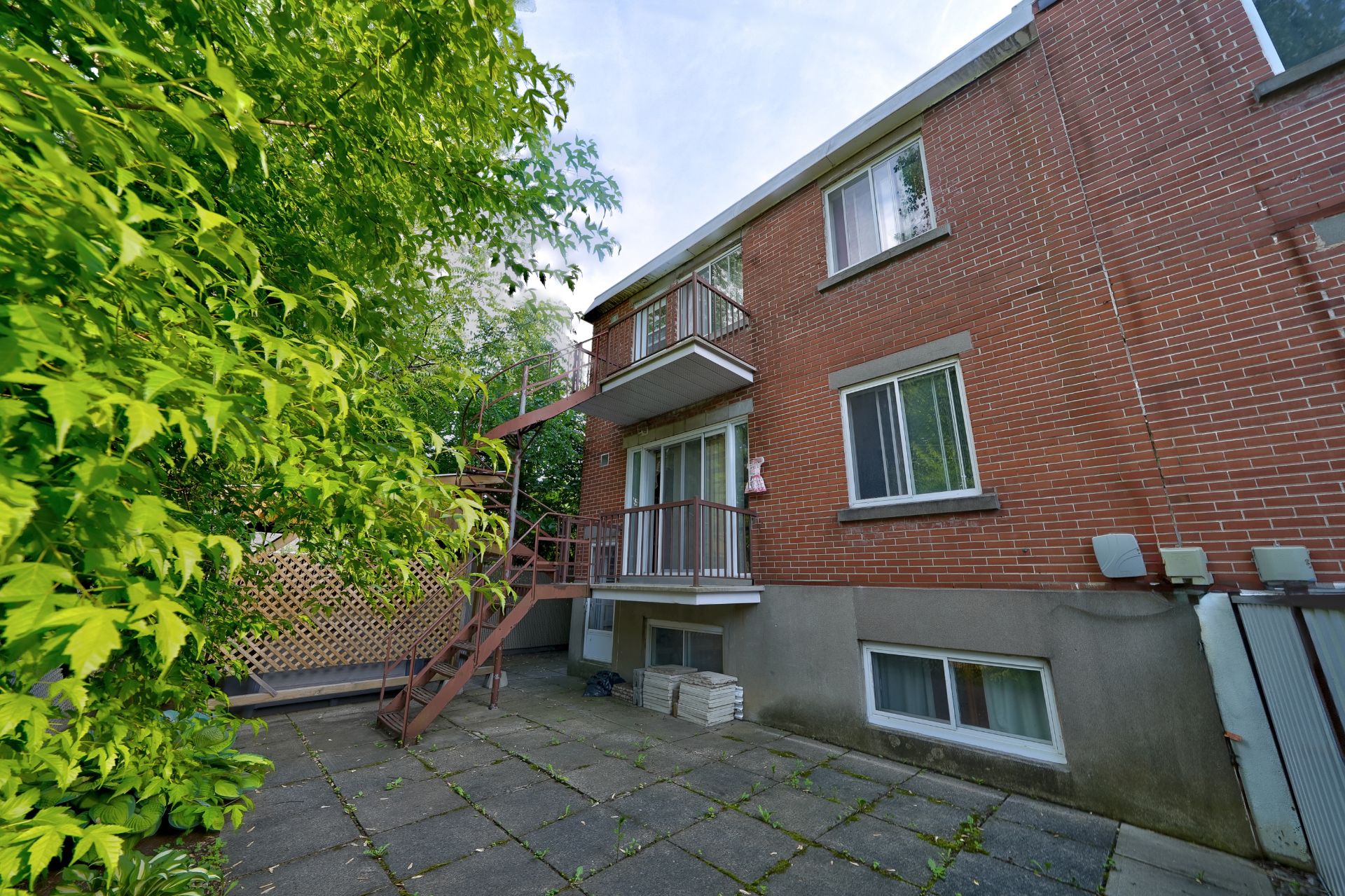 Photo - Backyard