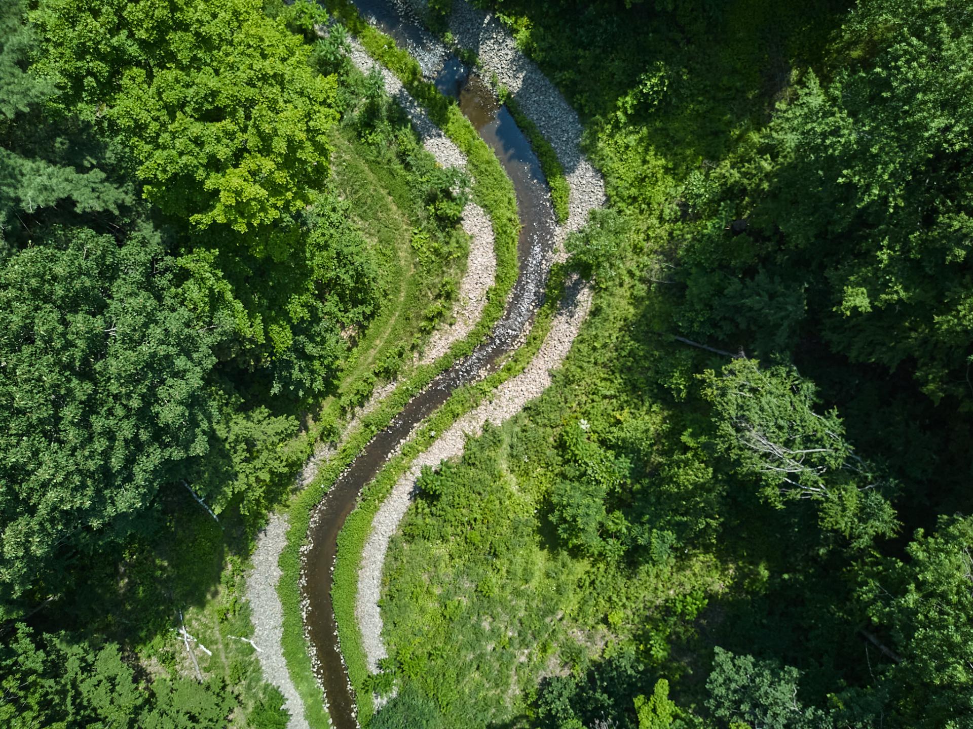 Photo - Aerial photo