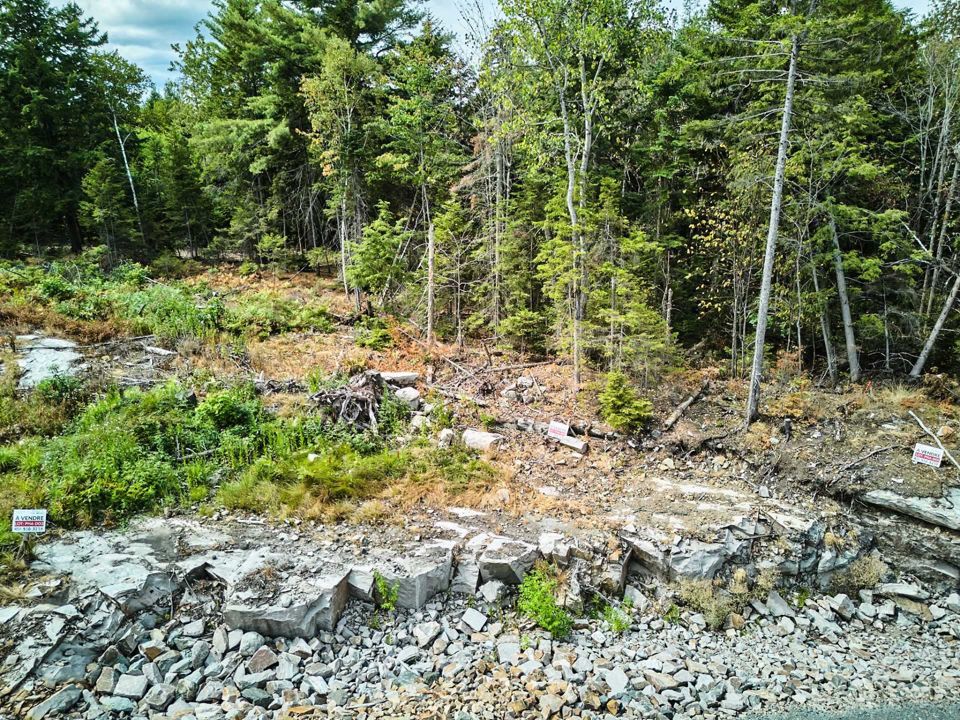 Photo - Terre/Terrain