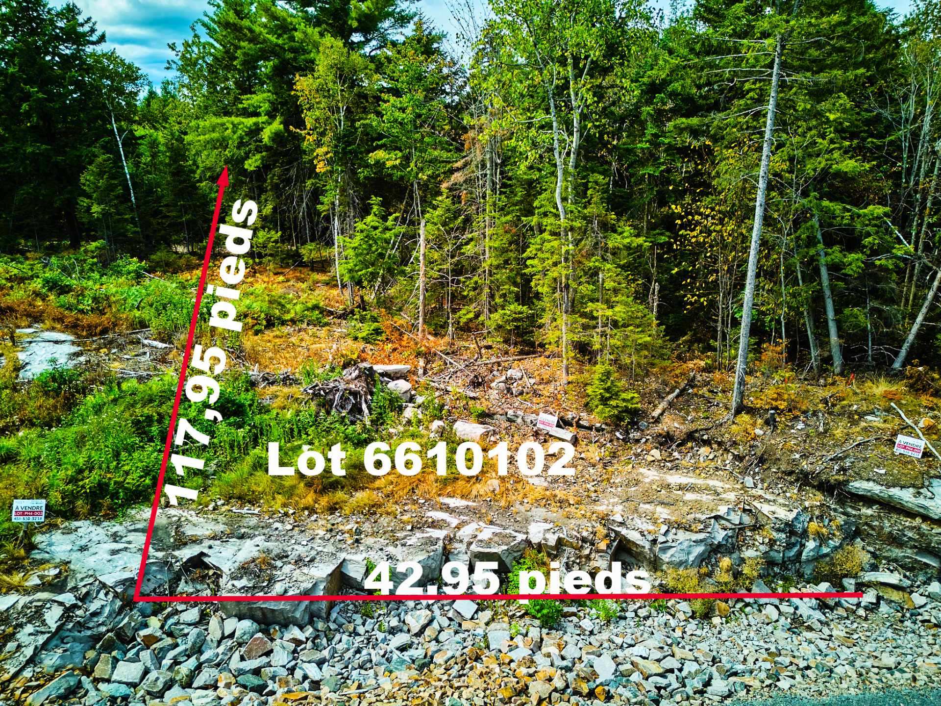 Photo - Terre/Terrain