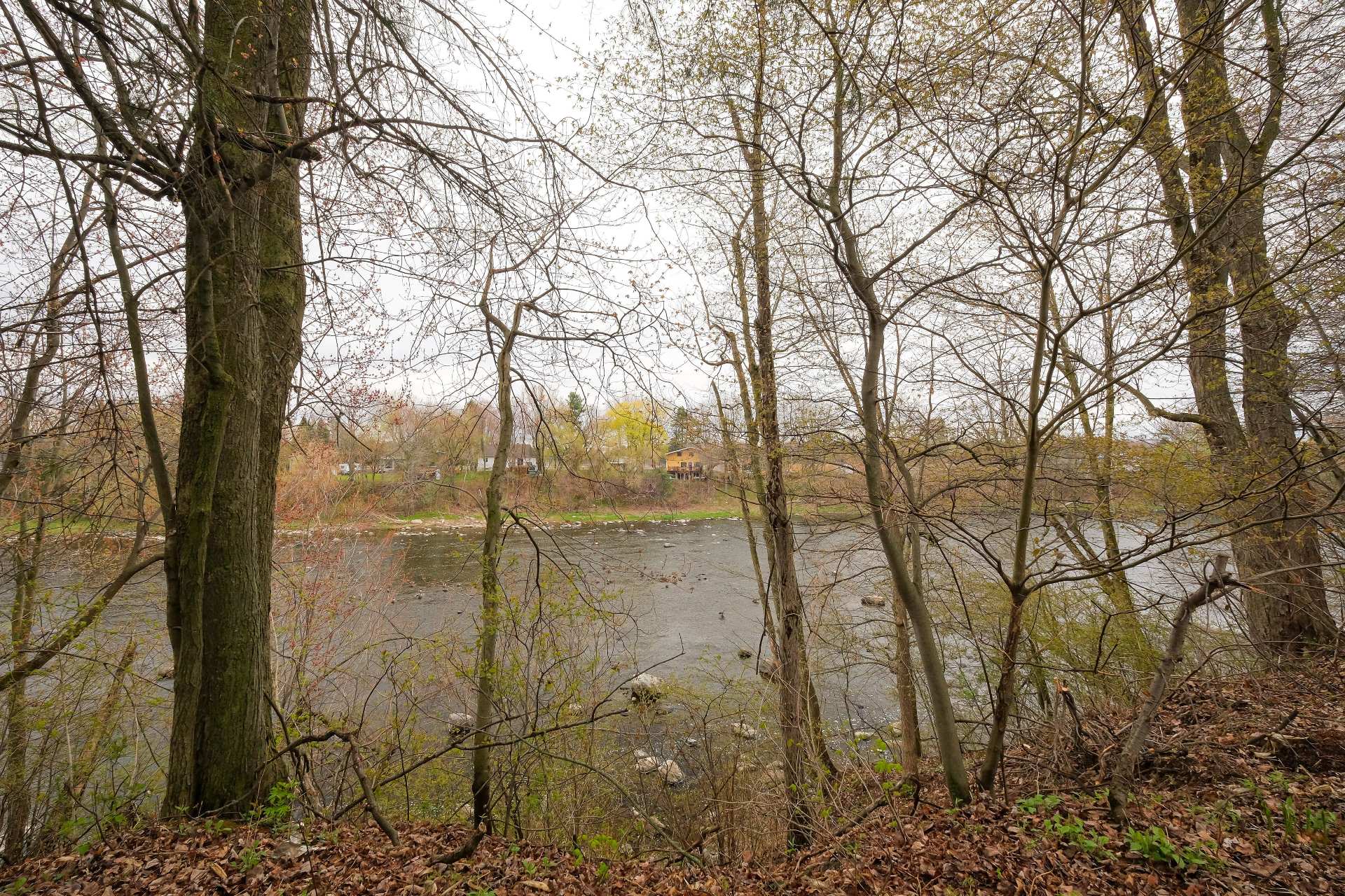 Photo - Vue sur l'eau