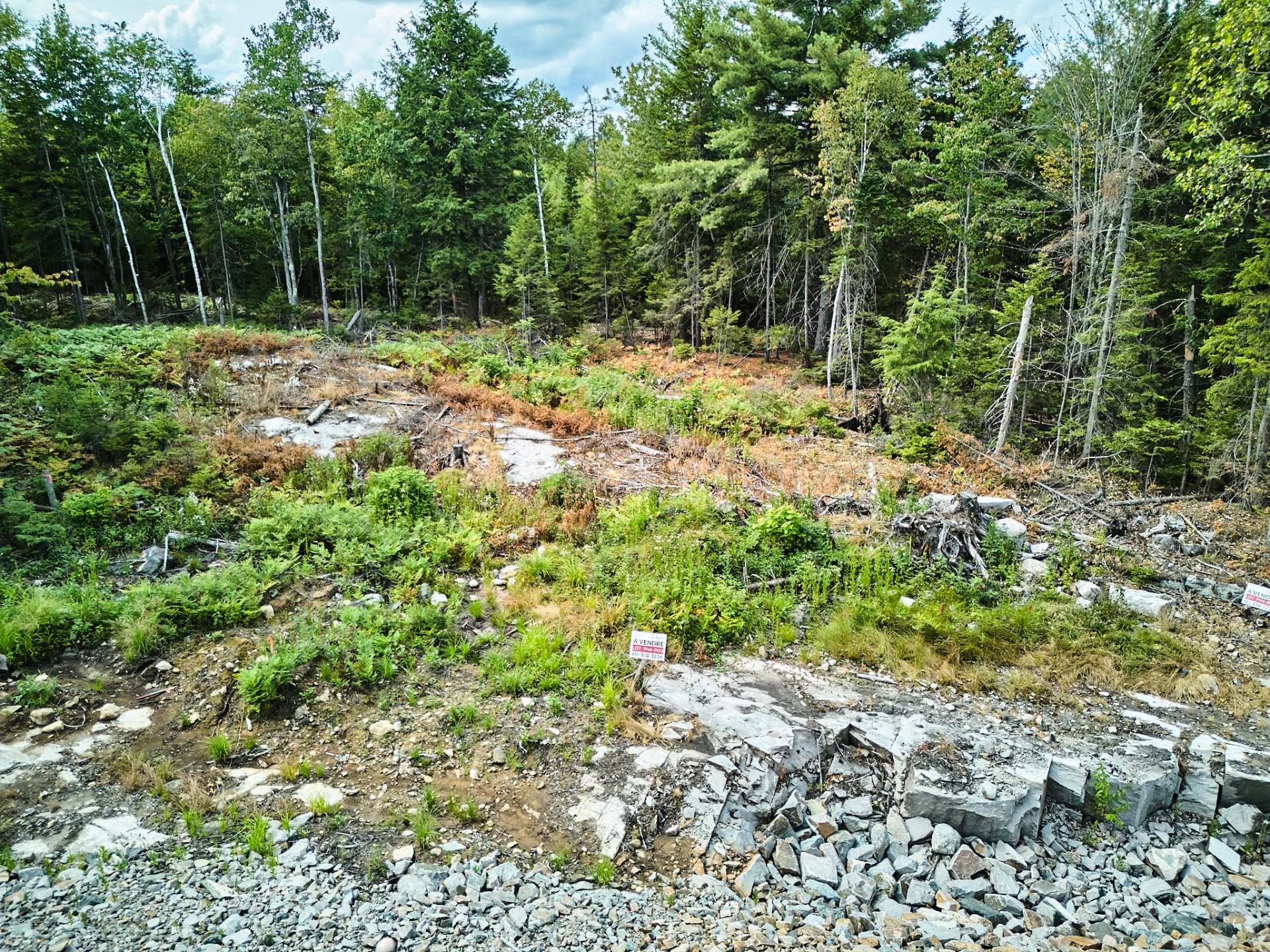 Photo - Terre/Terrain