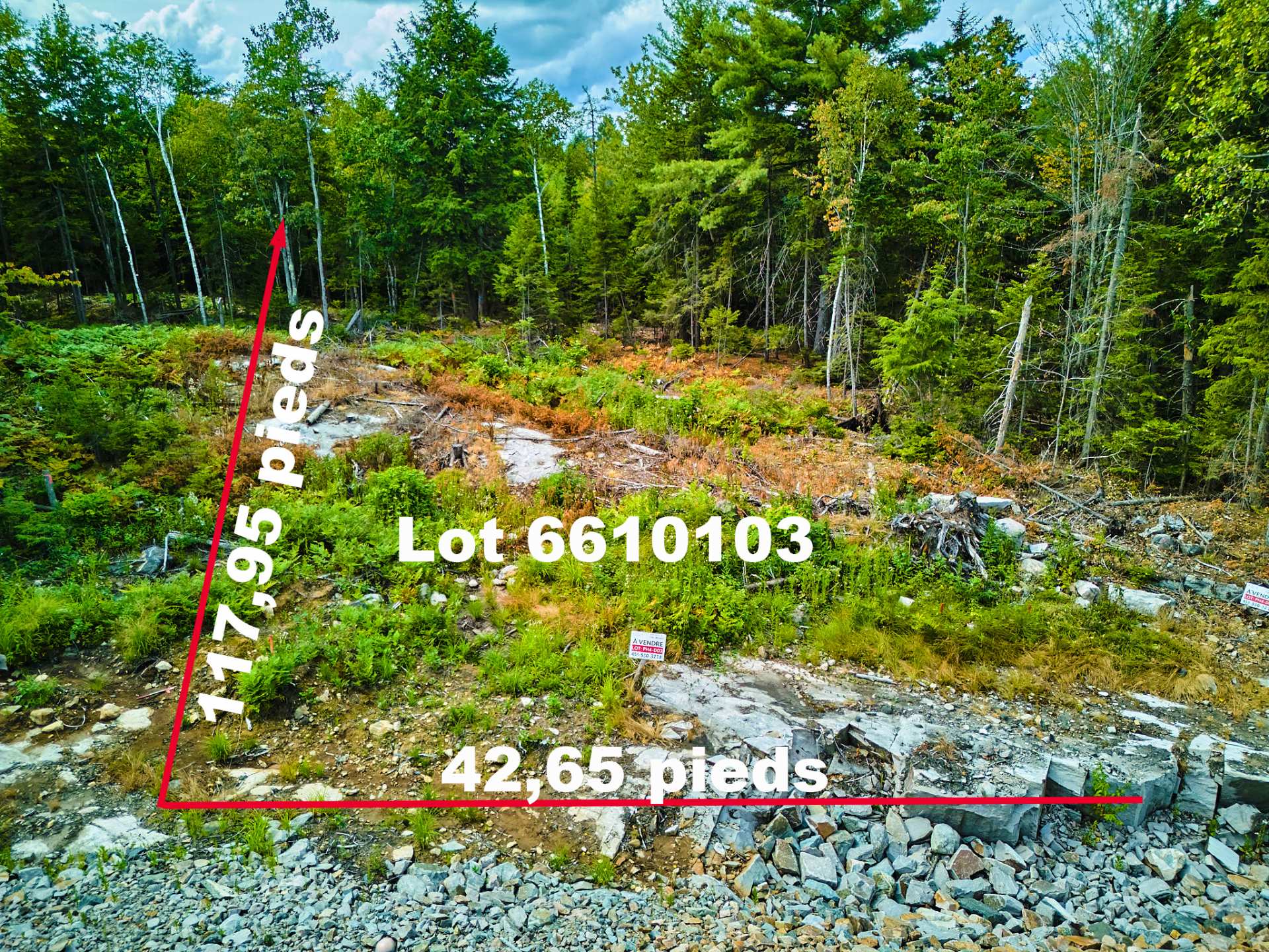 Photo - Terre/Terrain