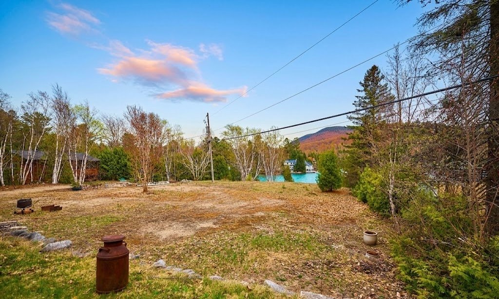 Photo - Backyard