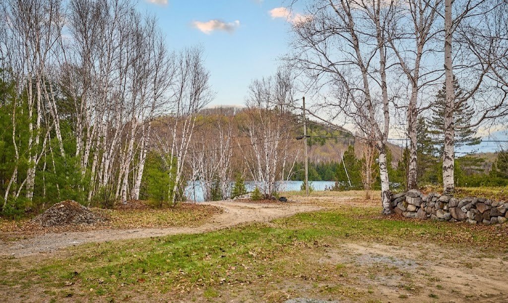 Photo - Backyard