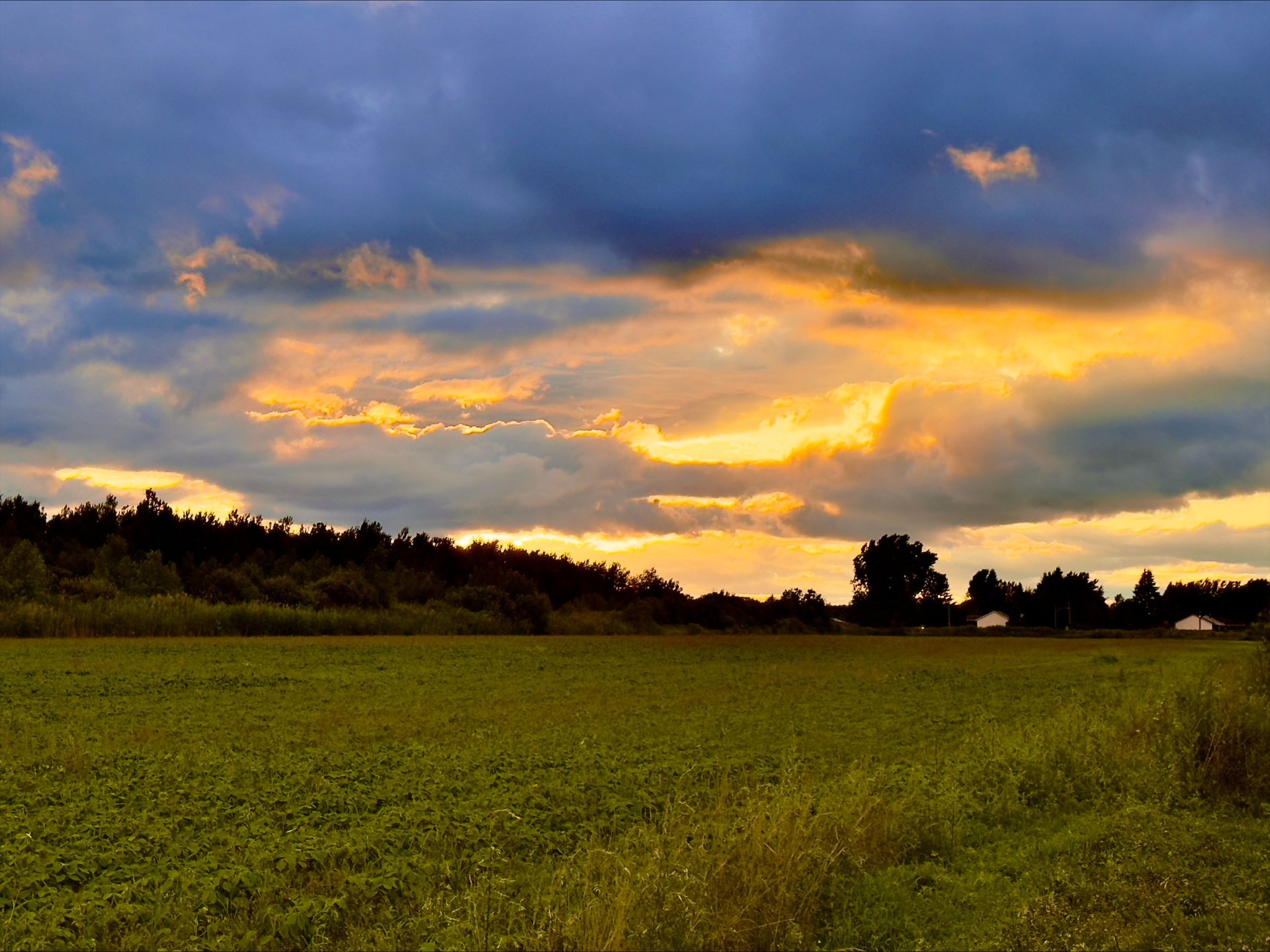 Photo - Vue