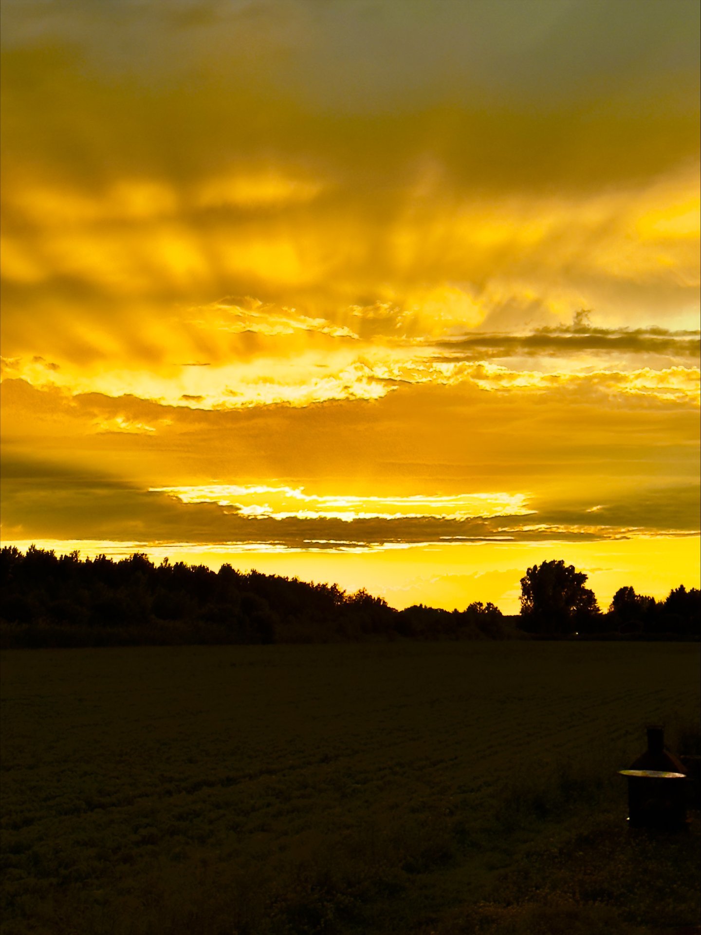 Photo - Vue