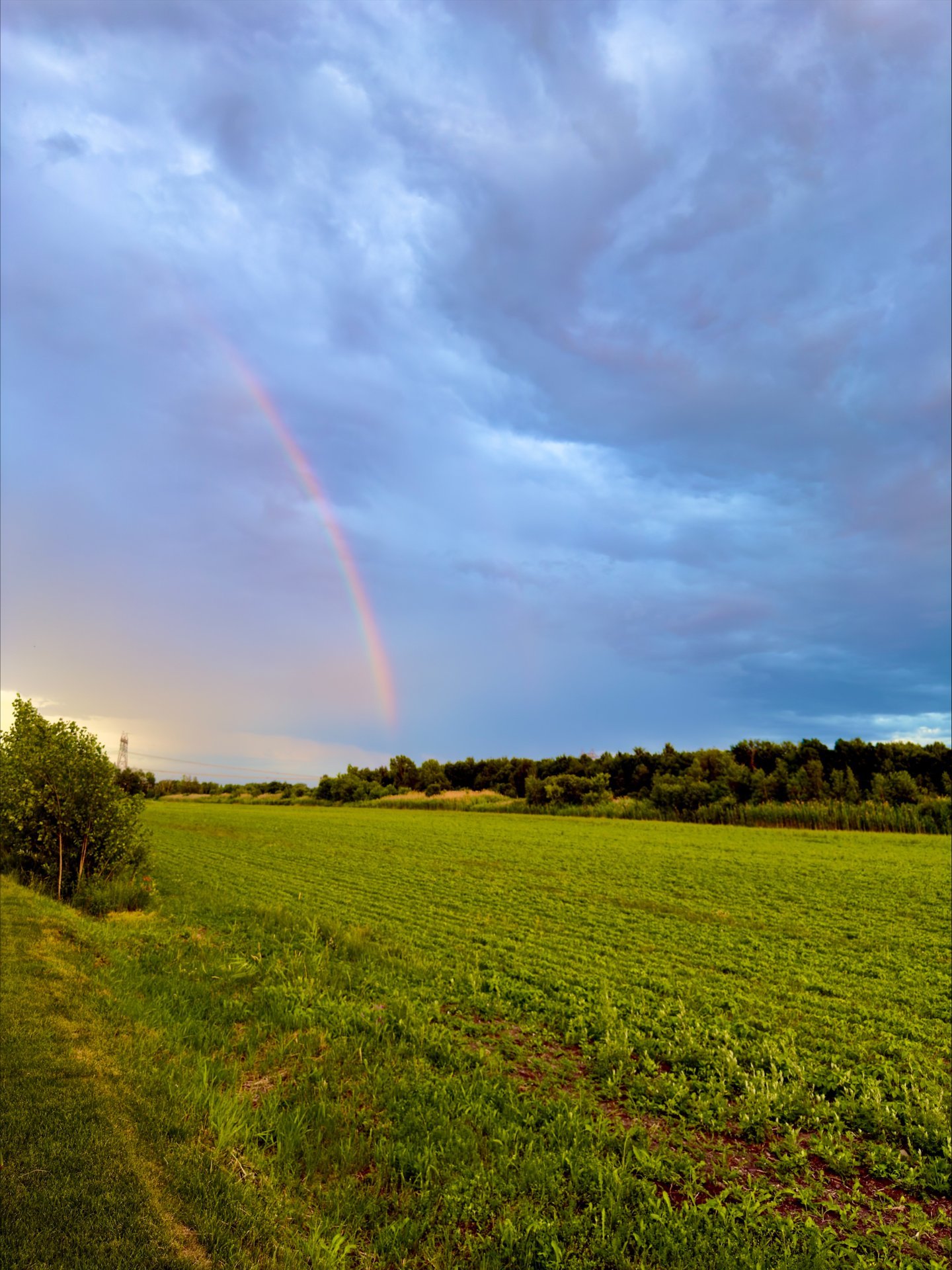 Photo - Vue