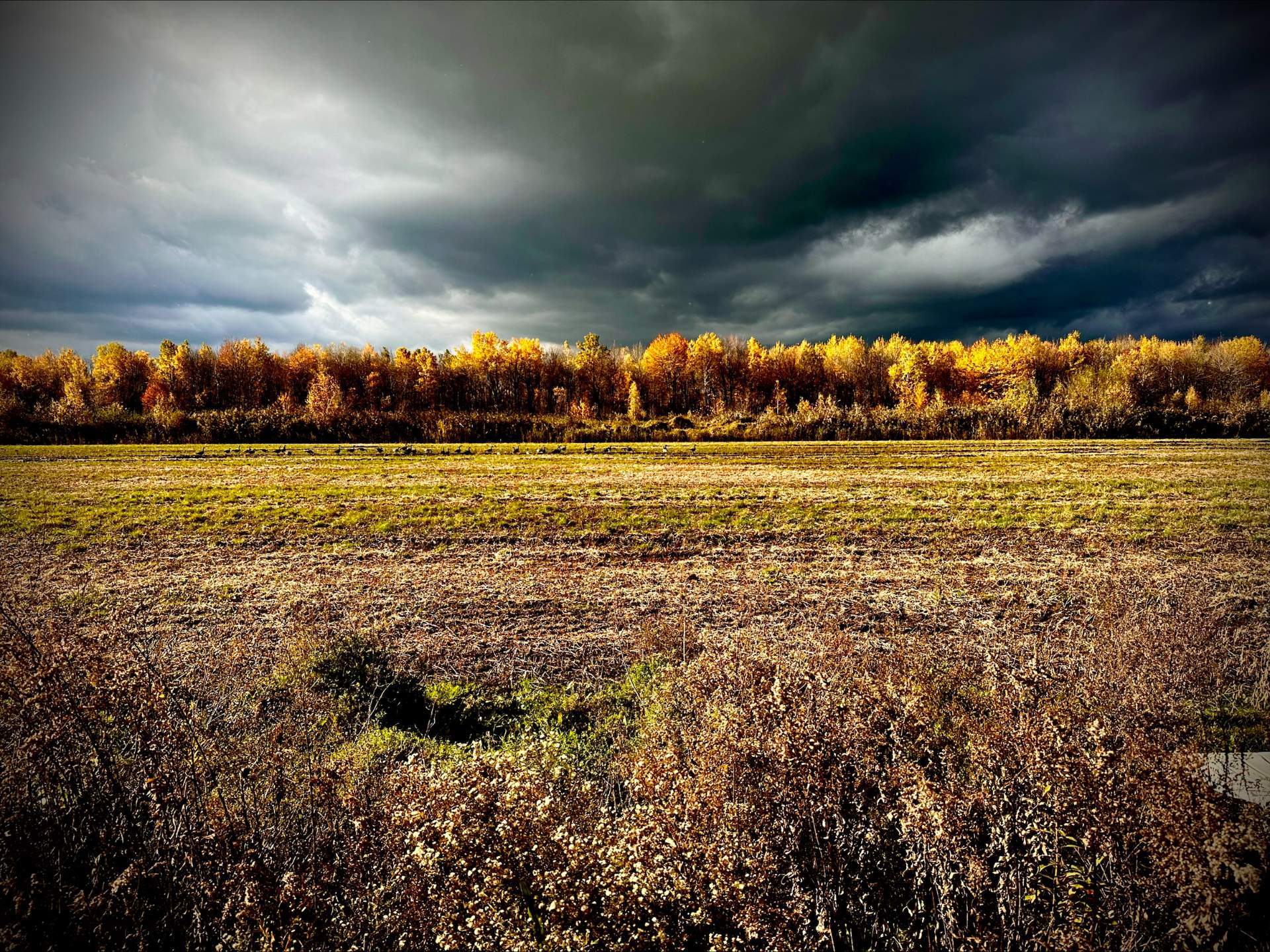 Photo - Vue