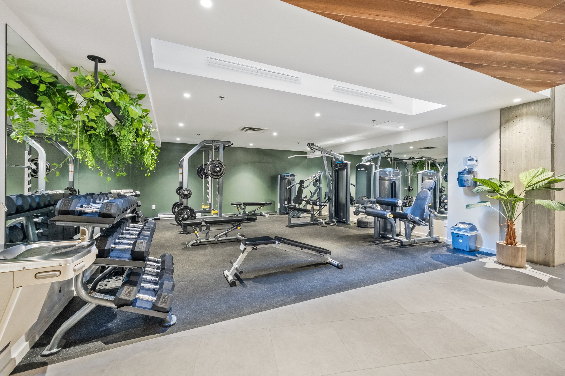 Photo -  Salle d'exercice