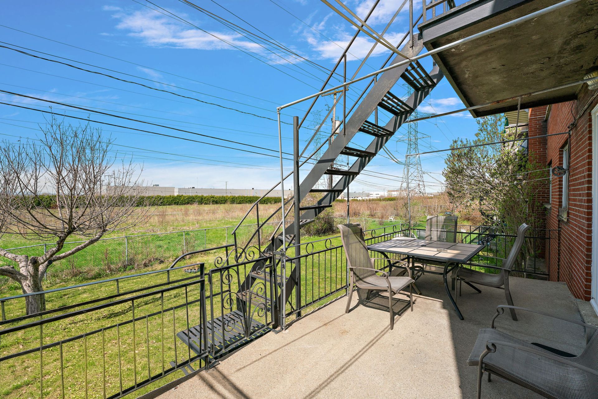 Photo - Backyard