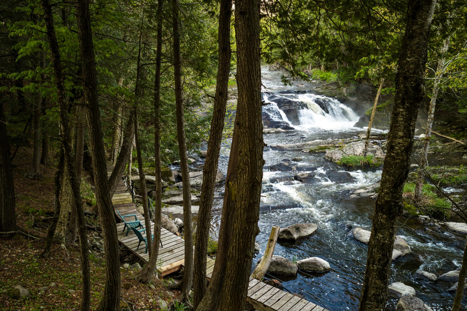 Photo - Bord de l'eau