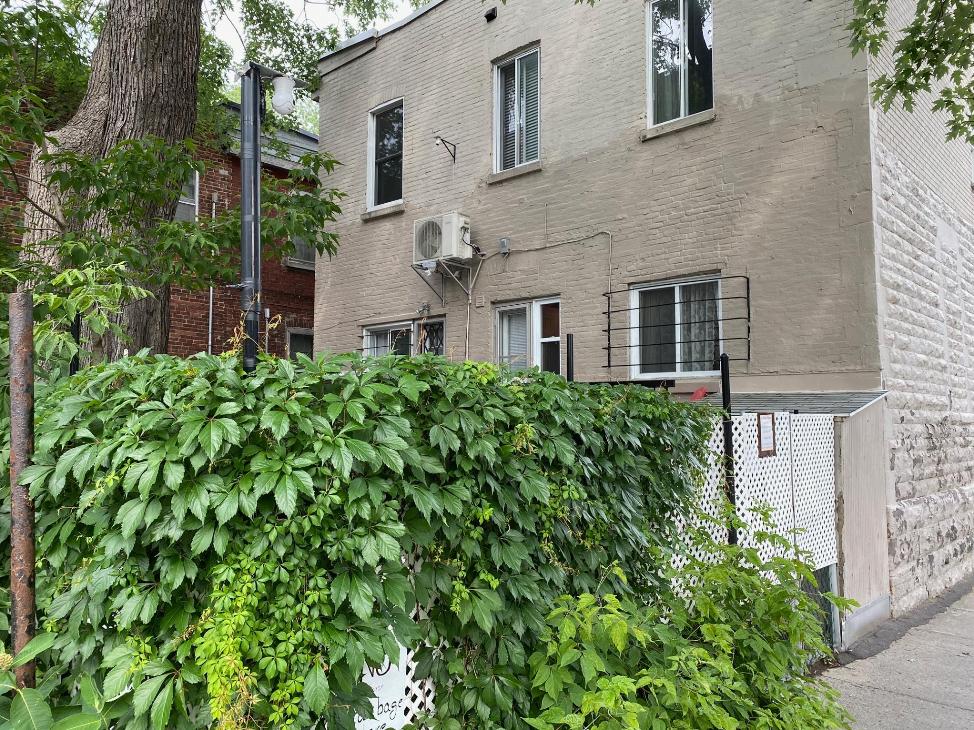 Photo - Face arrière