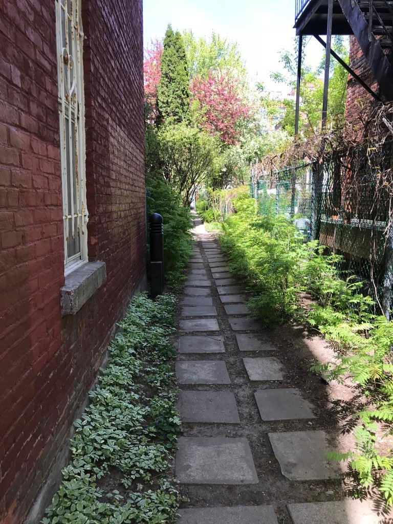 Photo - Face arrière