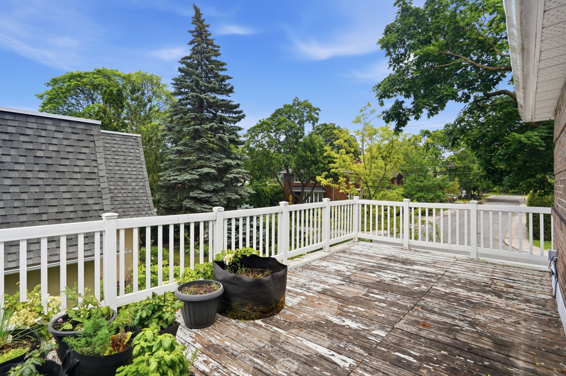 Photo - Terrasse