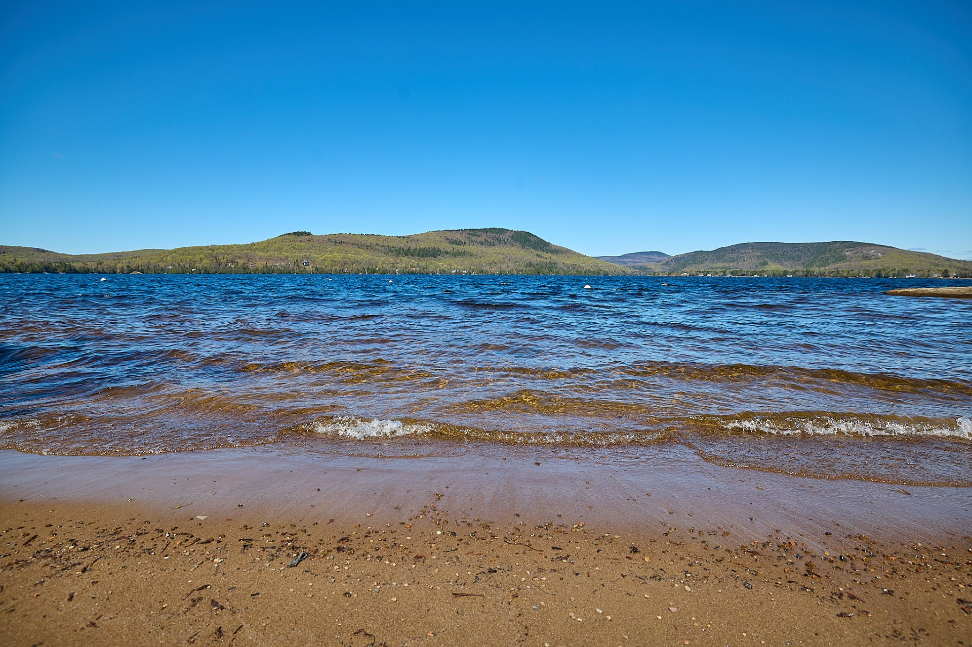 Photo - Bord de l'eau