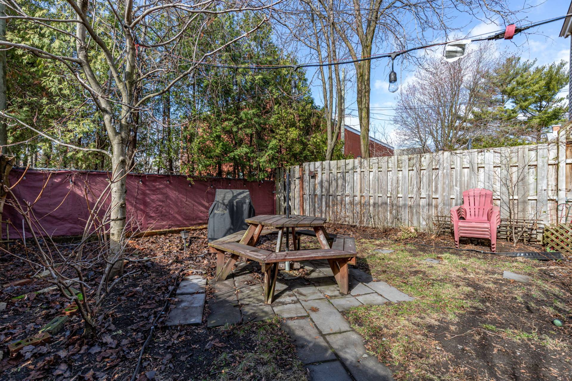 Photo - Backyard