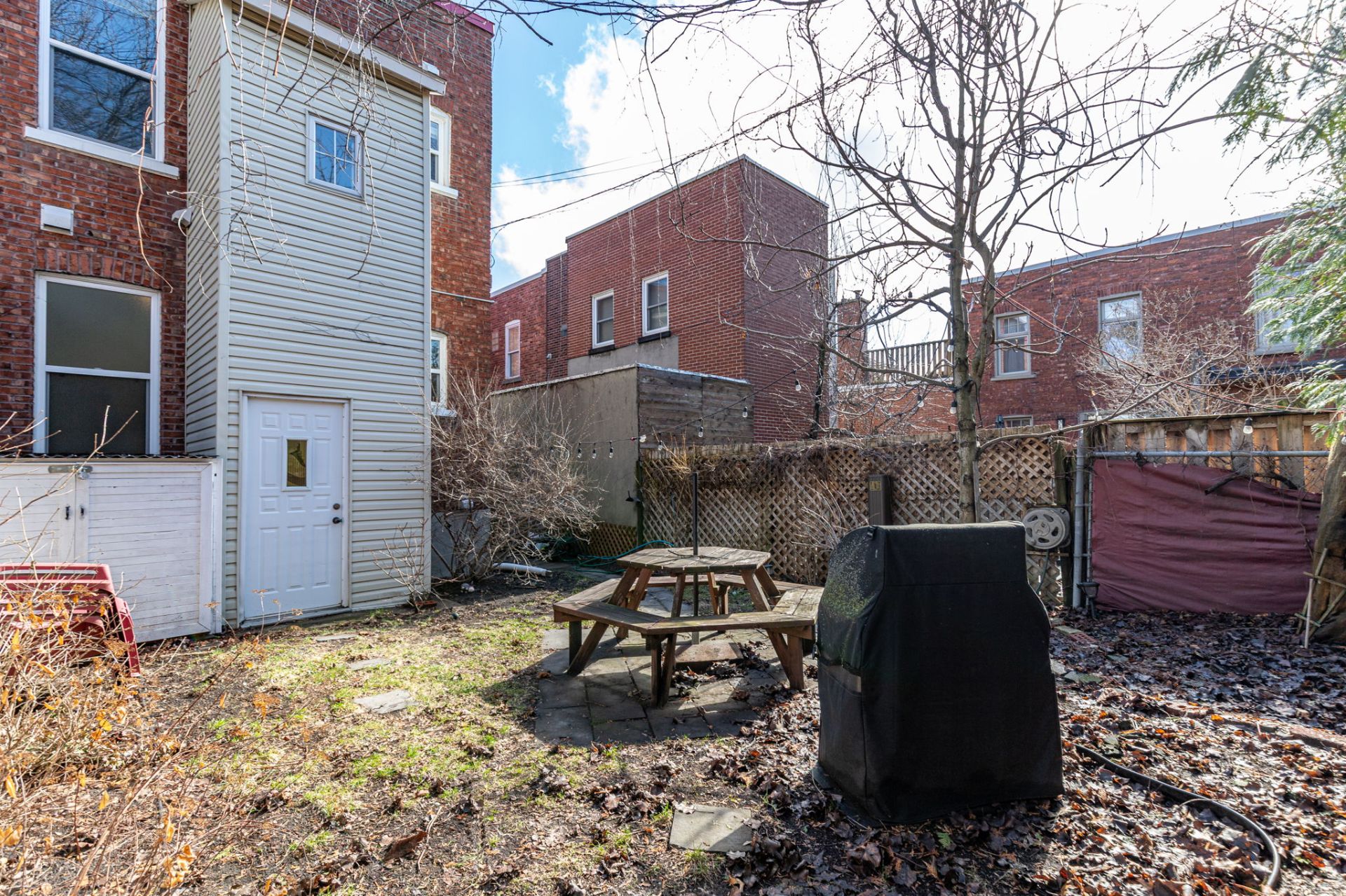 Photo - Backyard
