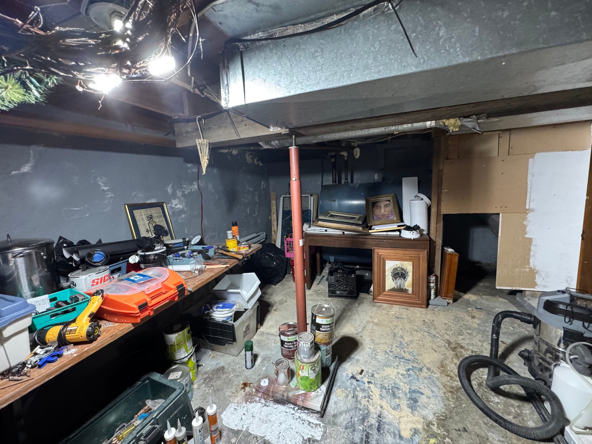 Photo - Cellar / Cold room