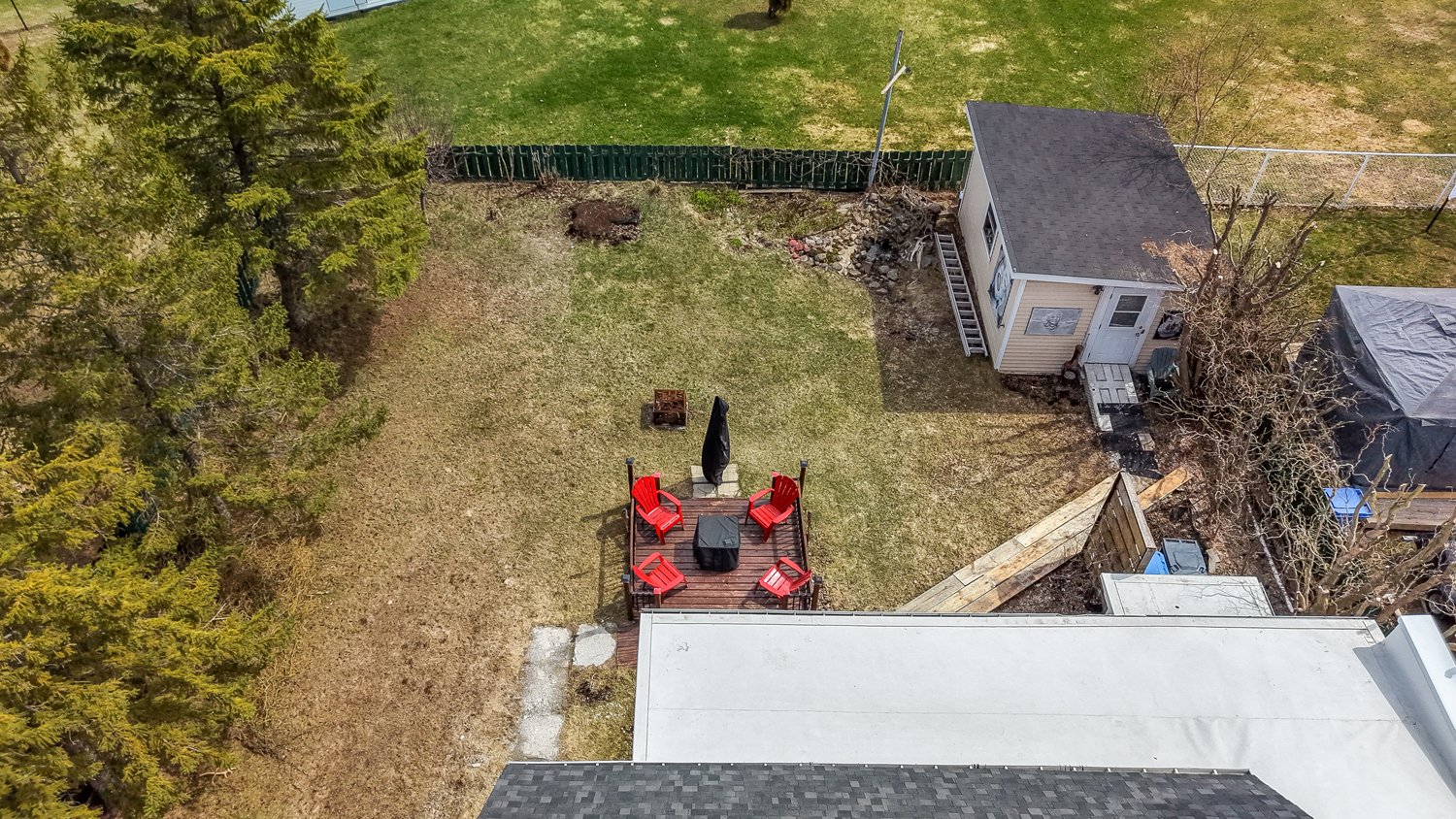 Photo - Backyard