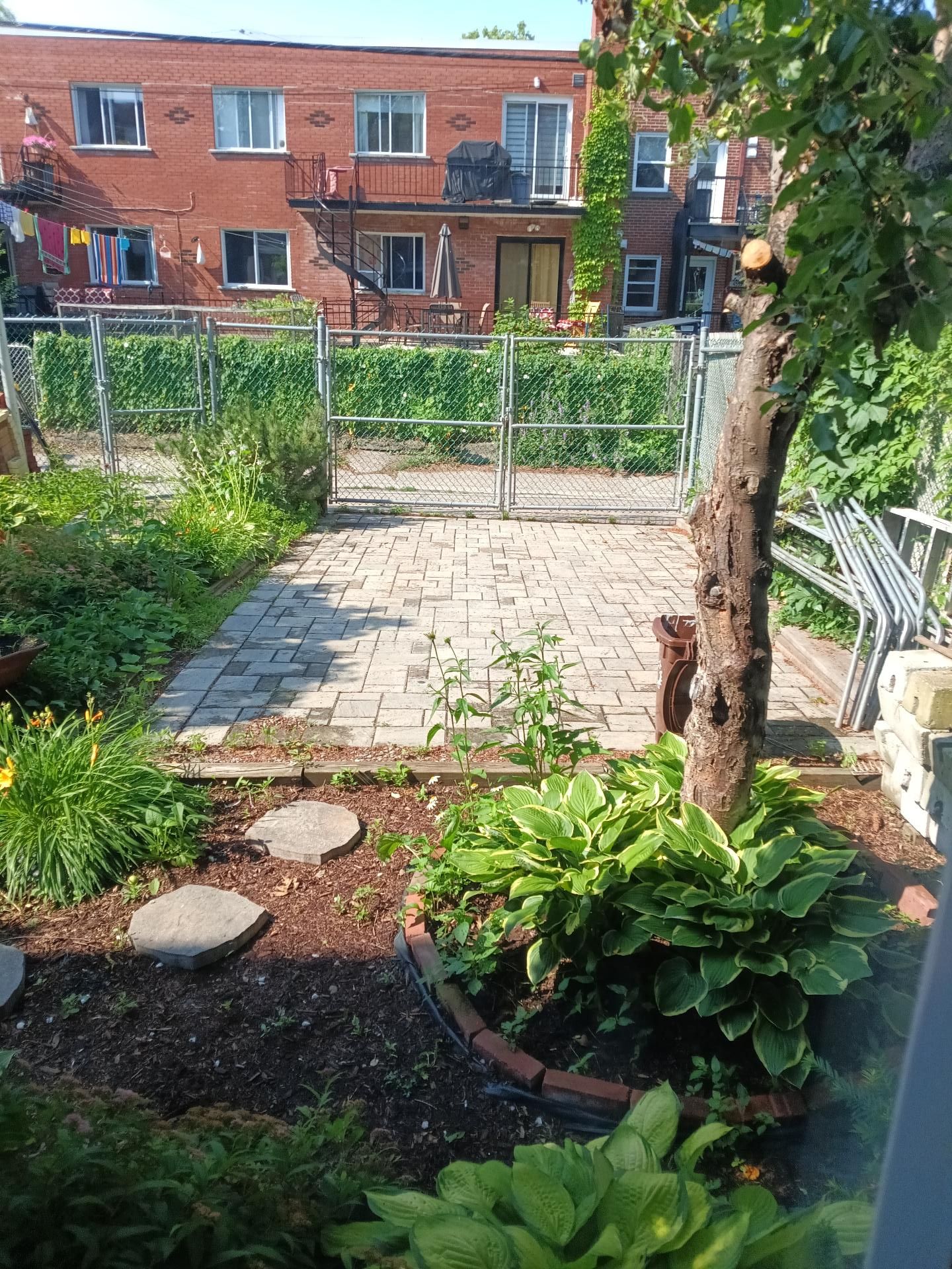 Photo - Backyard