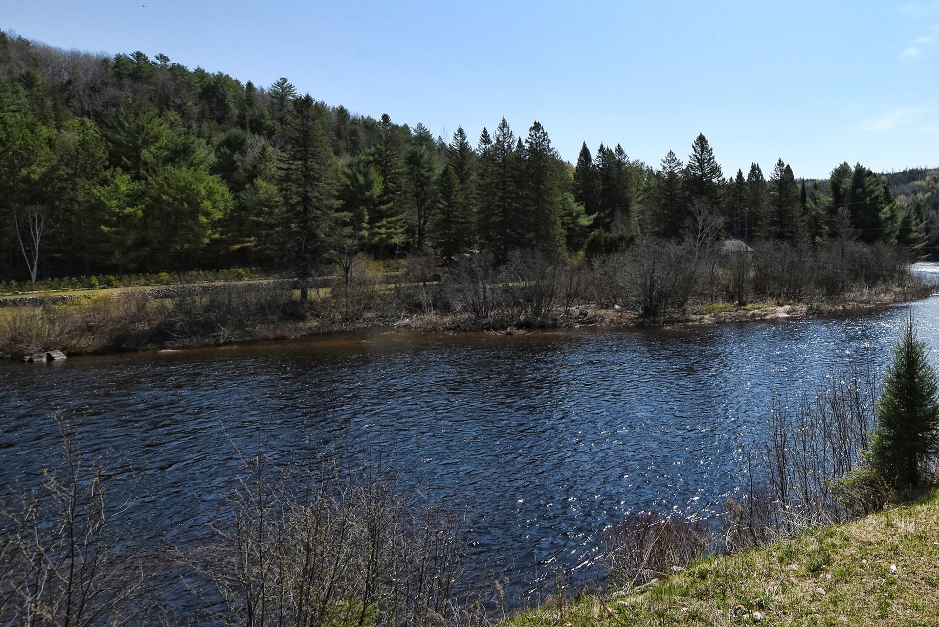 Photo - Water view