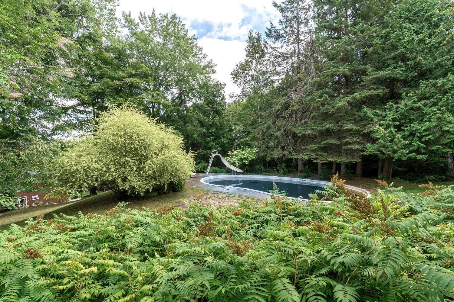 Photo - Terre/Terrain