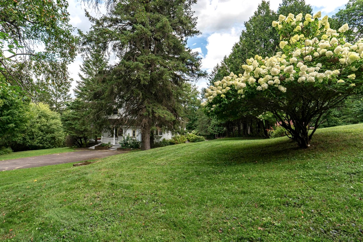 Photo - Vue d'ensemble