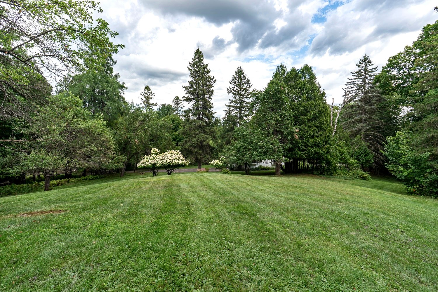 Photo - Terre/Terrain