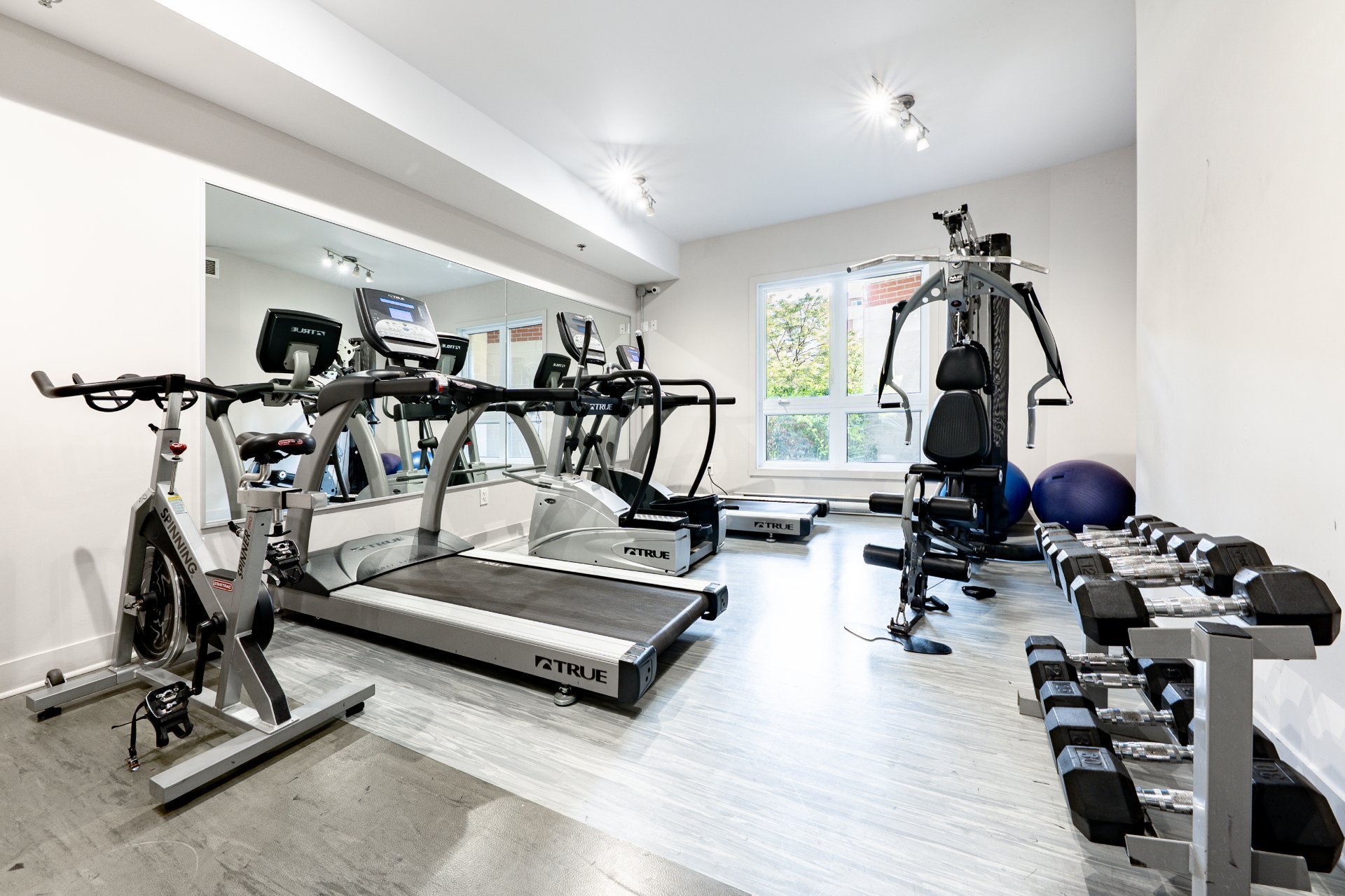 Photo -  Salle d'exercice