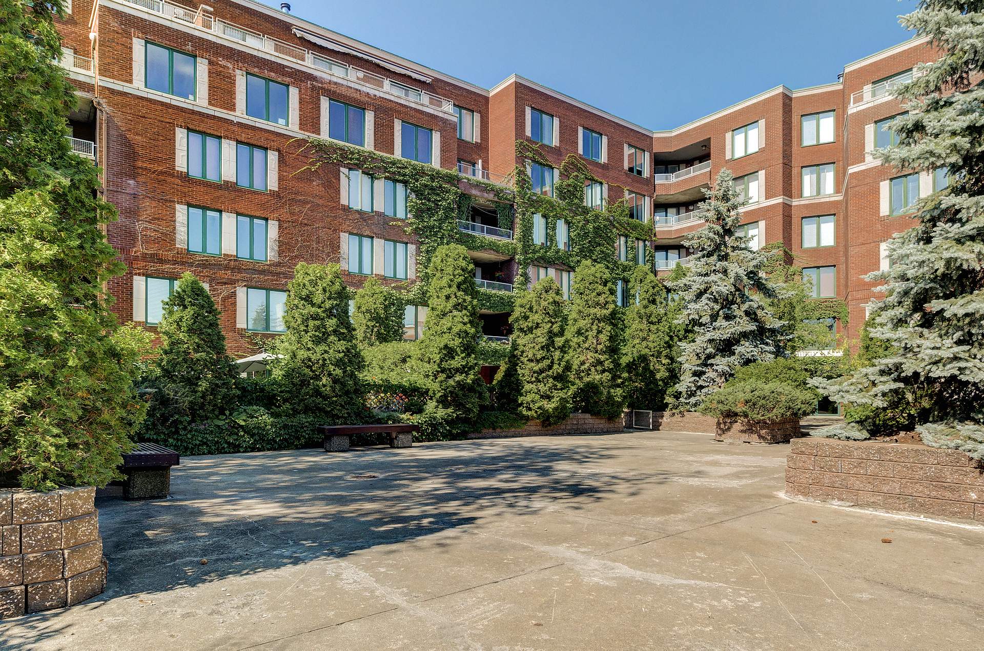 Photo - Face arrière