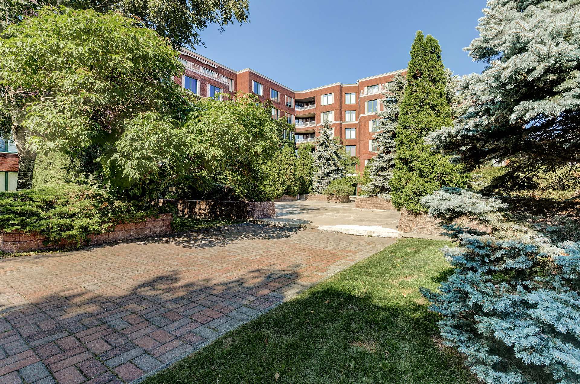 Photo - Face arrière