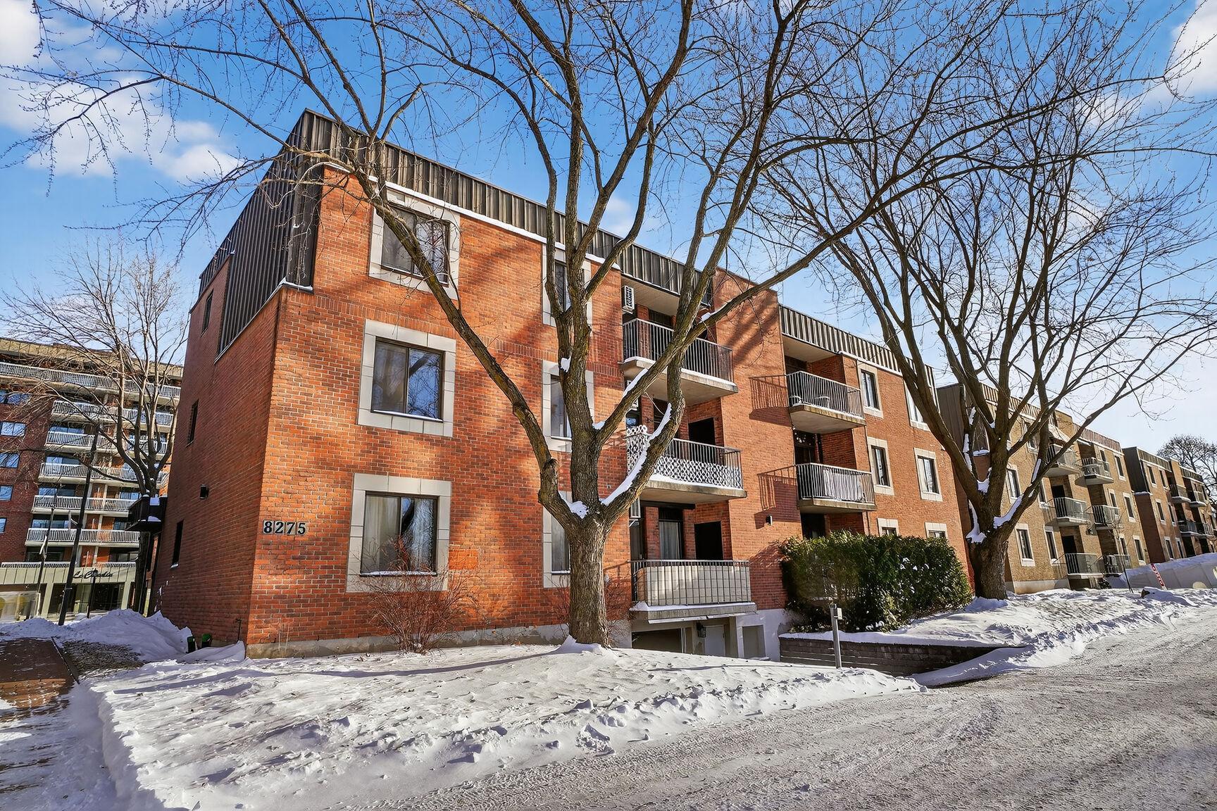 Photo - Face arrière