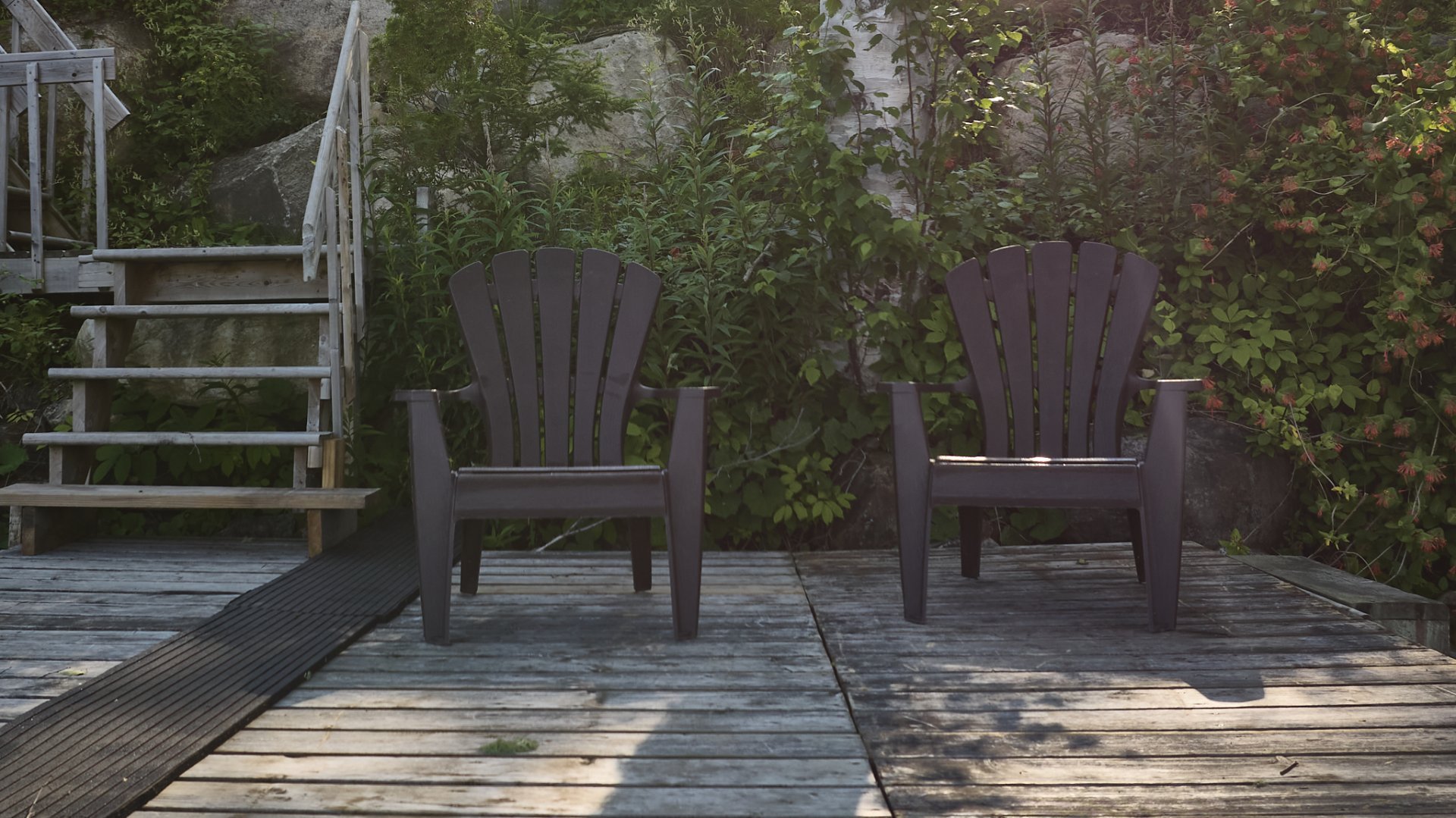 Photo - Bord de l'eau