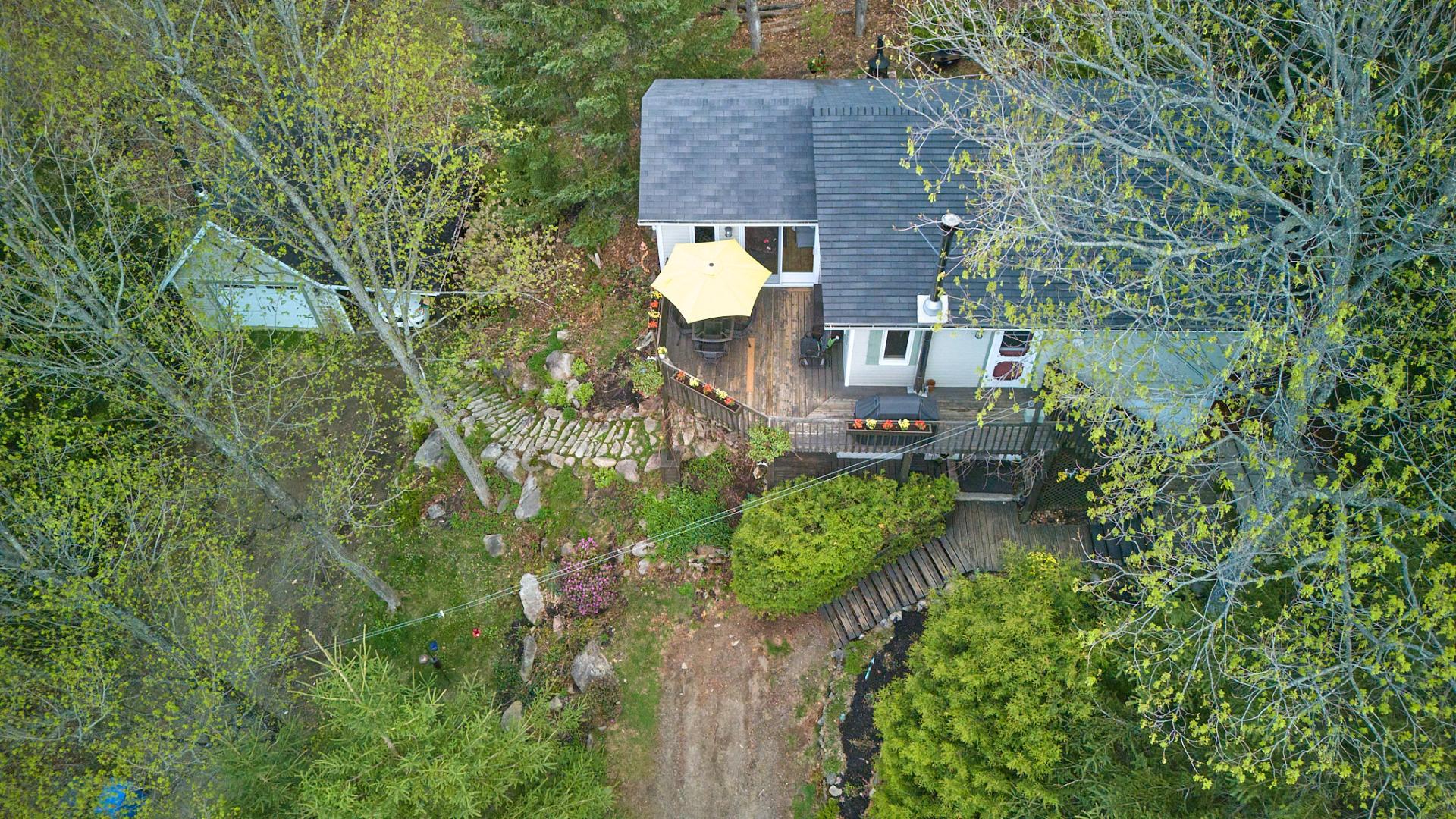 Photo - Aerial photo
