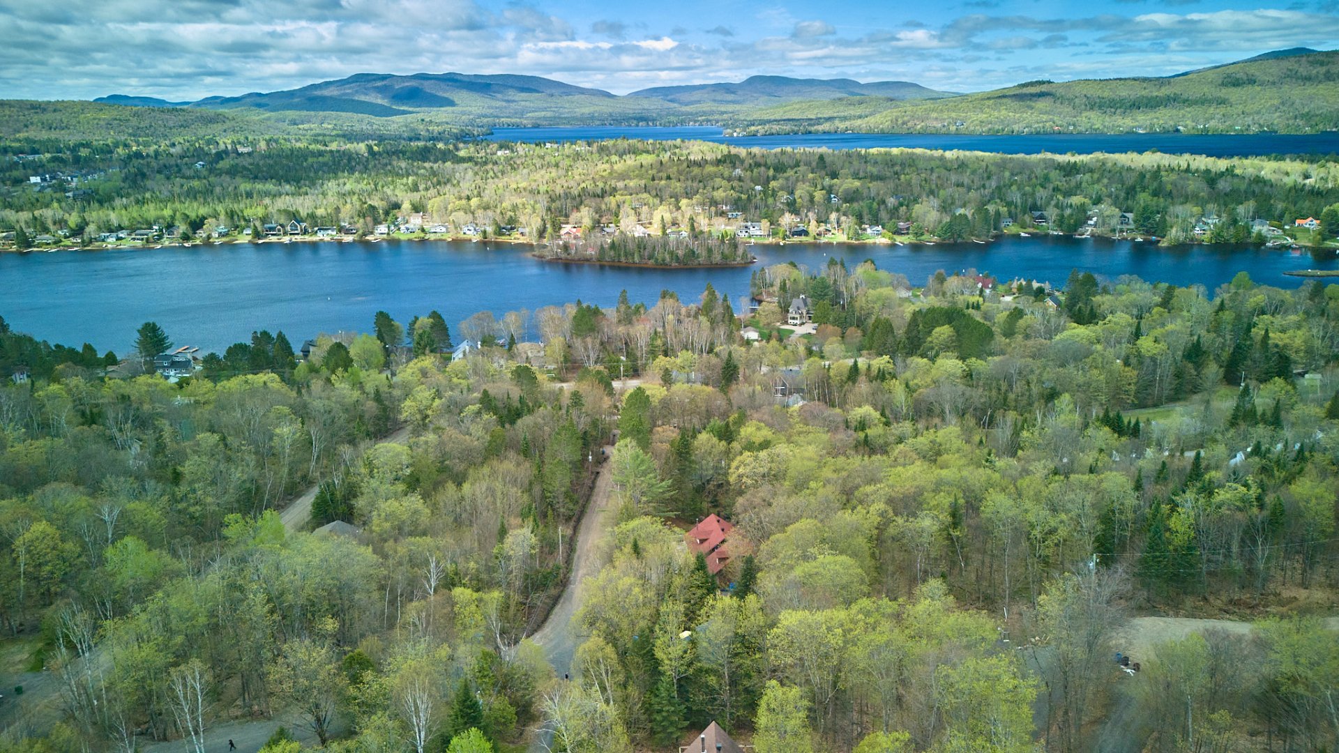 Photo - Aerial photo