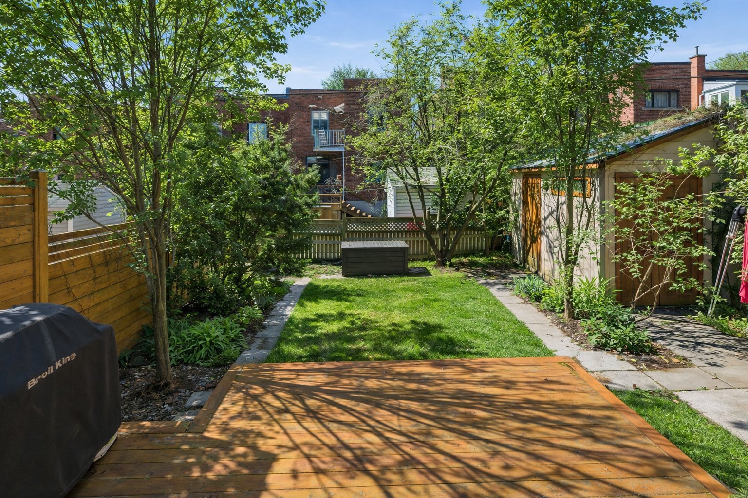 Photo - Backyard