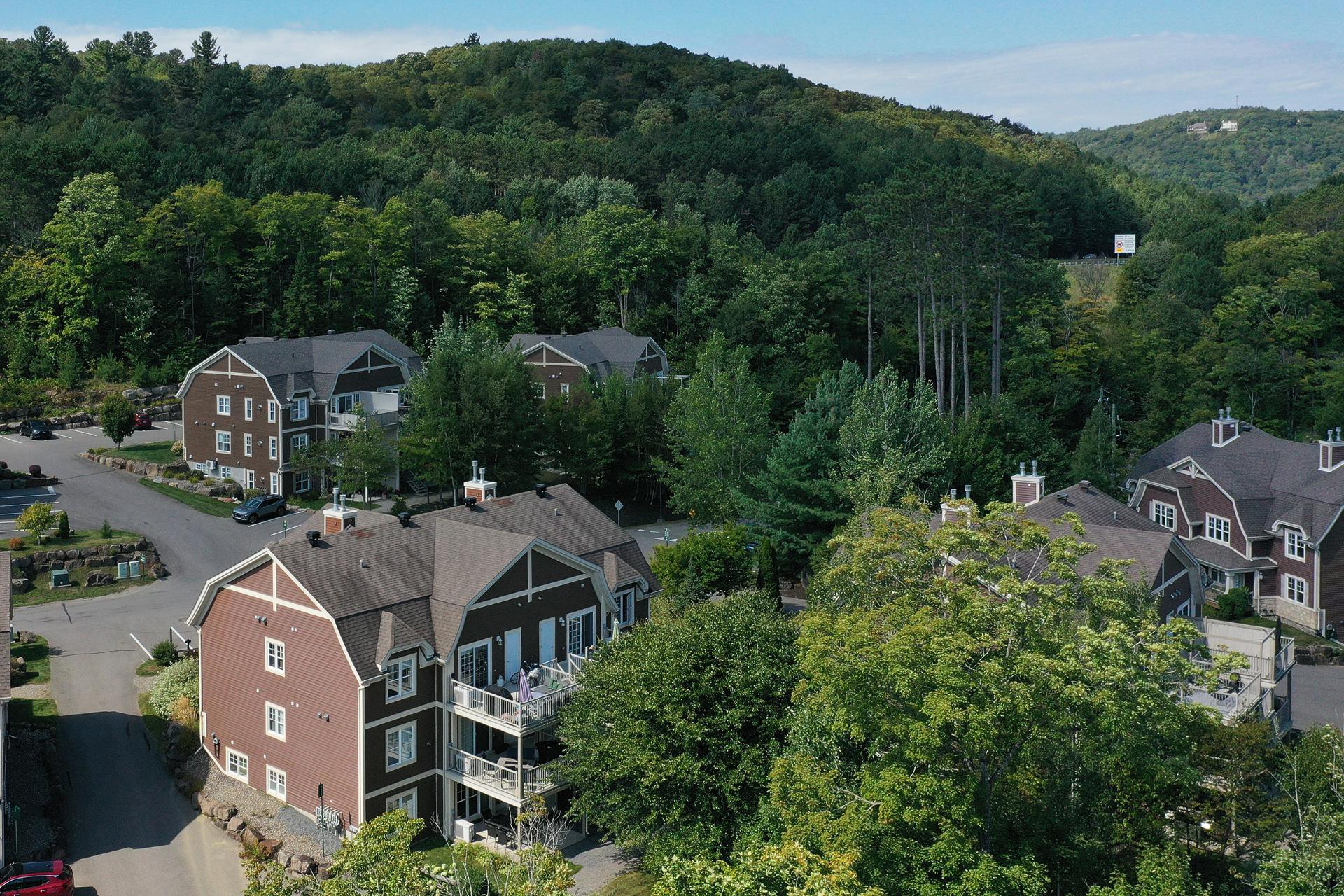 Photo - Aerial photo